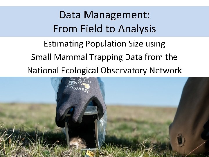 Data Management: From Field to Analysis Estimating Population Size using Small Mammal Trapping Data