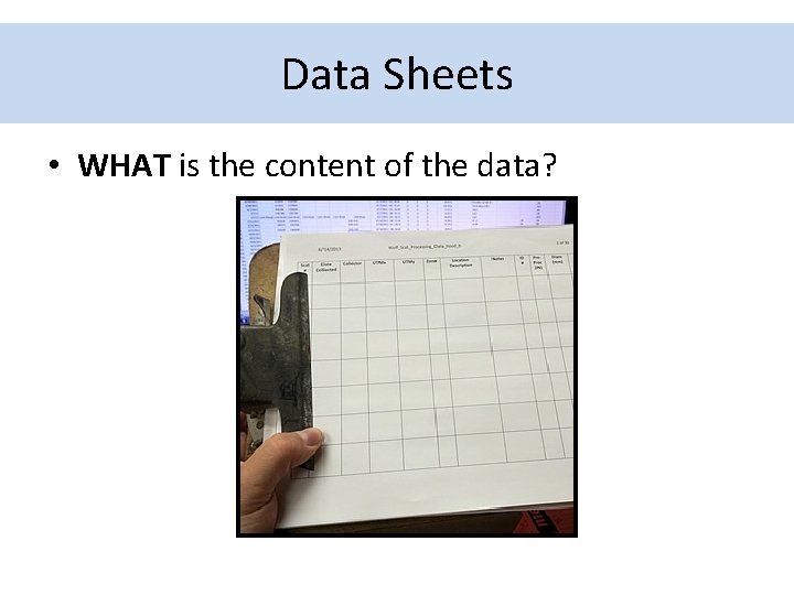 Data Sheets • WHAT is the content of the data? 