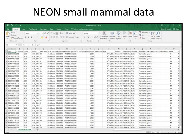 NEON small mammal data 