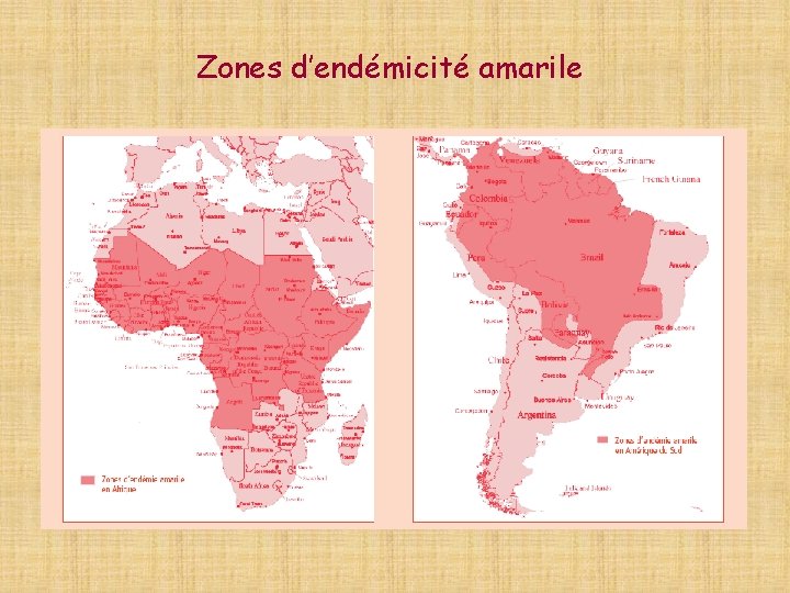 Zones d’endémicité amarile 