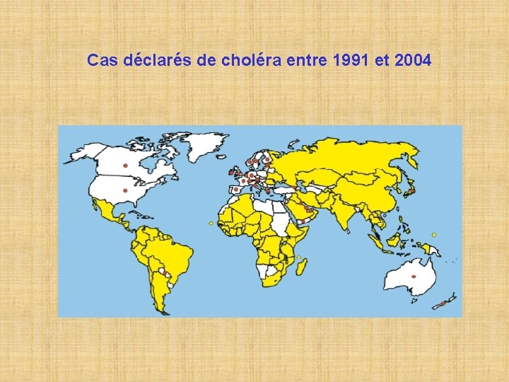 Cas déclarés de choléra entre 1991 et 2004 