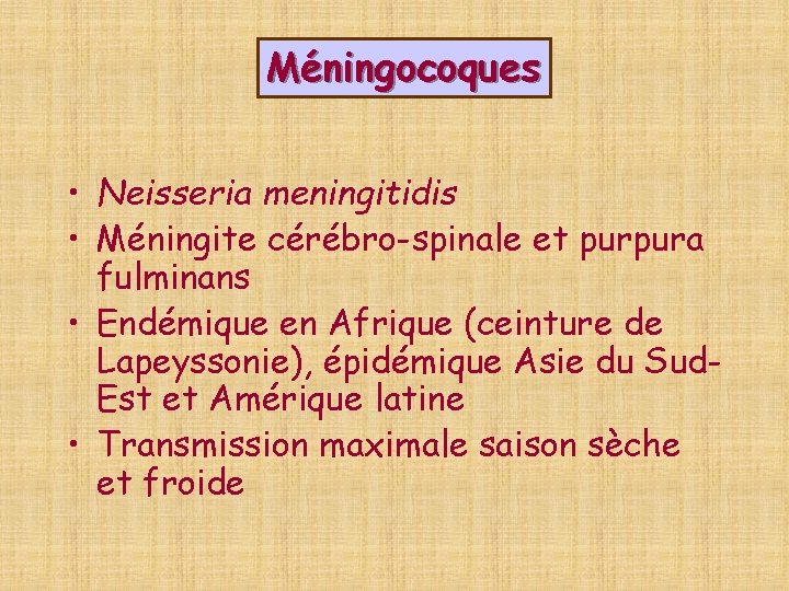 Méningocoques • Neisseria meningitidis • Méningite cérébro-spinale et purpura fulminans • Endémique en Afrique