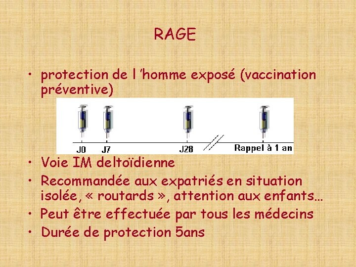 RAGE • protection de l ’homme exposé (vaccination préventive) • Voie IM deltoïdienne •