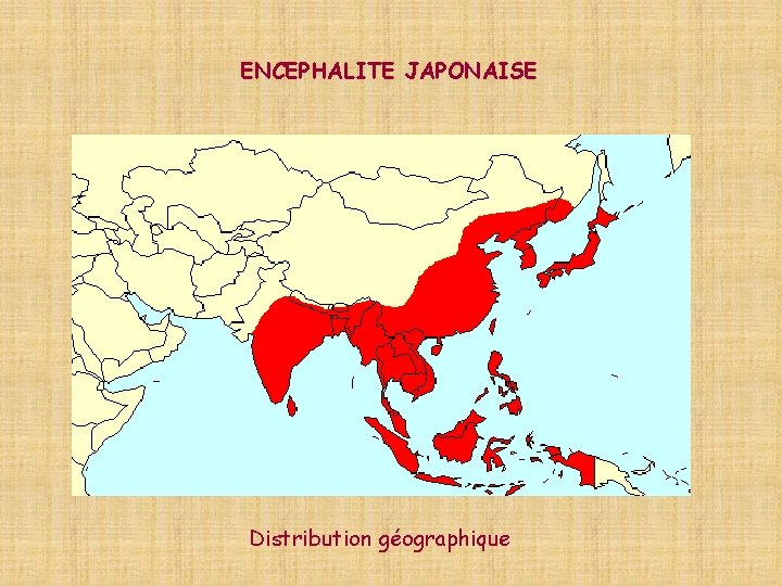 ENCEPHALITE JAPONAISE Distribution géographique 