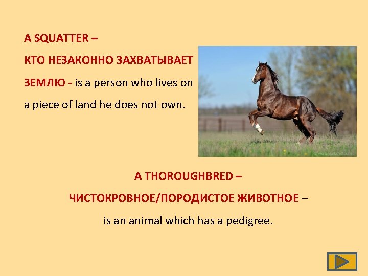 A SQUATTER – КТО НЕЗАКОННО ЗАХВАТЫВАЕТ ЗЕМЛЮ - is a person who lives on