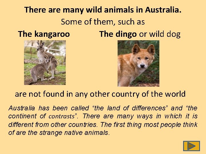 There are many wild animals in Australia. Some of them, such as The kangaroo