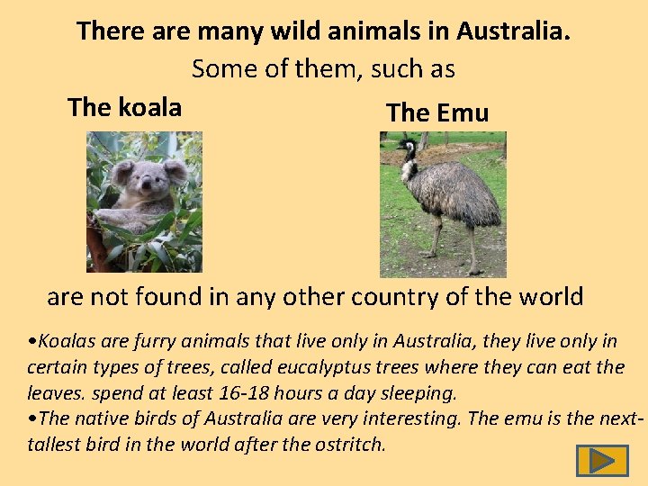 There are many wild animals in Australia. Some of them, such as The koala