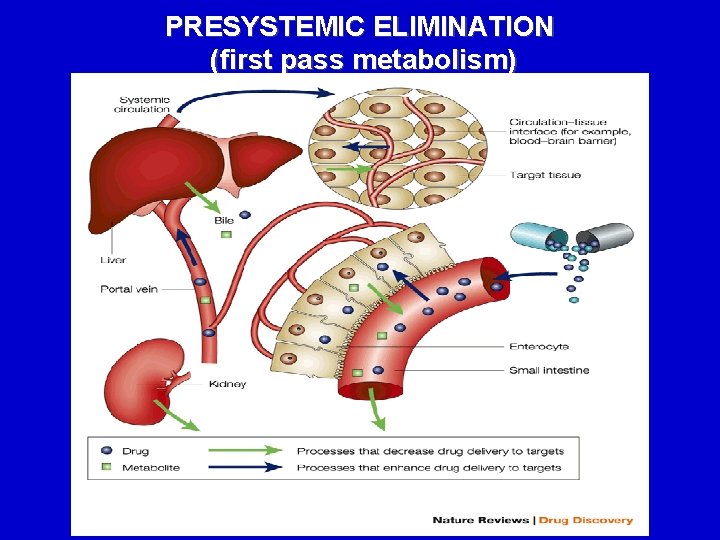 PRESYSTEMIC ELIMINATION (first pass metabolism) 