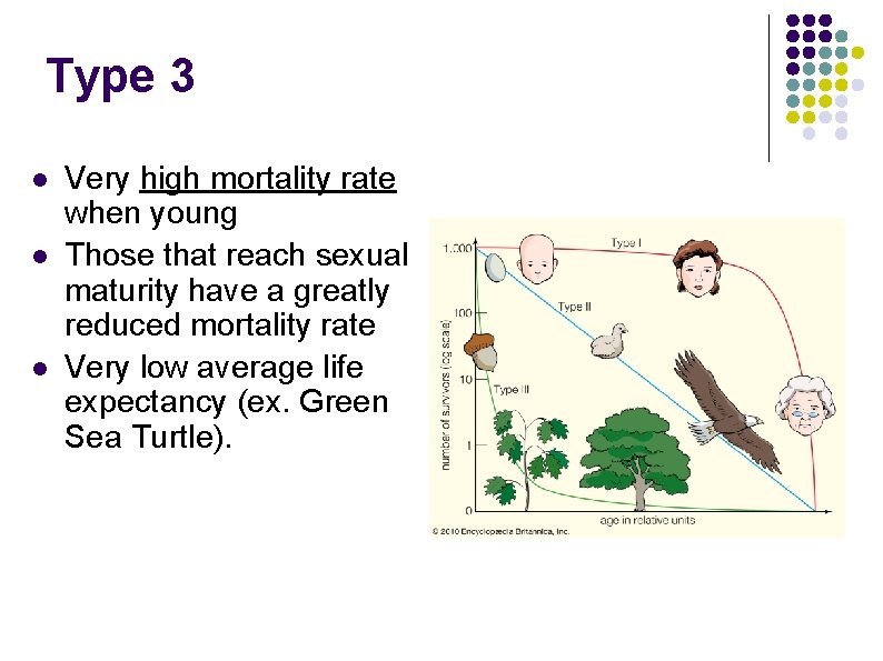 Type 3 l l l Very high mortality rate when young Those that reach Type 3 l l l Very high mortality rate when young Those that reach