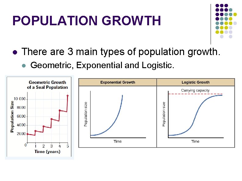 POPULATION GROWTH l There are 3 main types of population growth. l Geometric, Exponential POPULATION GROWTH l There are 3 main types of population growth. l Geometric, Exponential