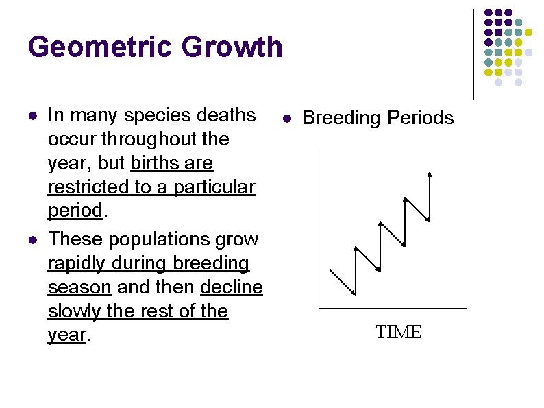 Geometric Growth l l In many species deaths occur throughout the year, but births Geometric Growth l l In many species deaths occur throughout the year, but births