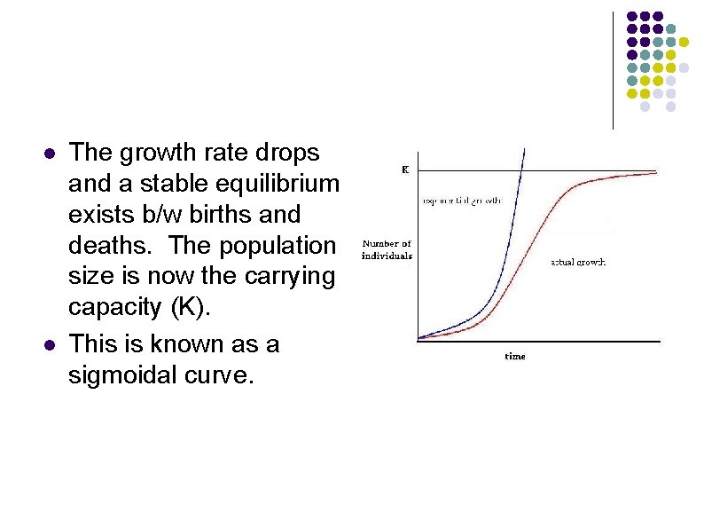 l l The growth rate drops and a stable equilibrium exists b/w births and l l The growth rate drops and a stable equilibrium exists b/w births and