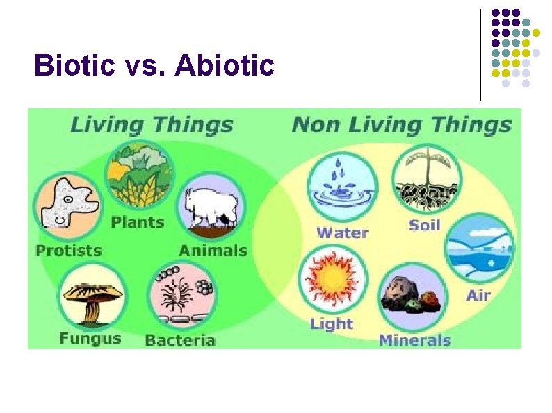 Biotic vs. Abiotic Biotic vs. Abiotic