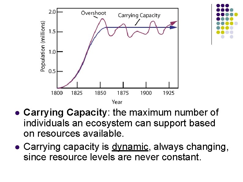 l l Carrying Capacity: the maximum number of individuals an ecosystem can support based l l Carrying Capacity: the maximum number of individuals an ecosystem can support based