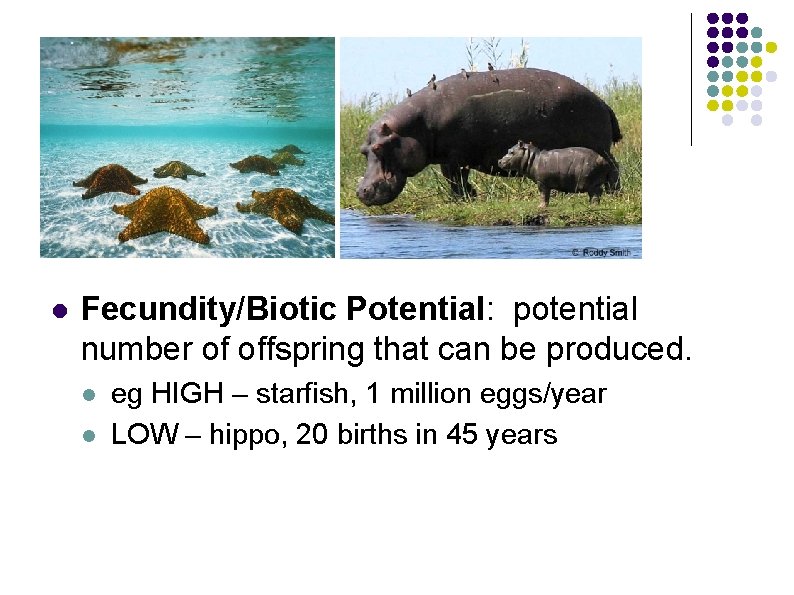 l Fecundity/Biotic Potential: potential number of offspring that can be produced. l l eg l Fecundity/Biotic Potential: potential number of offspring that can be produced. l l eg