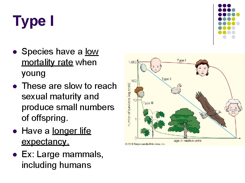 Type I l l Species have a low mortality rate when young These are Type I l l Species have a low mortality rate when young These are