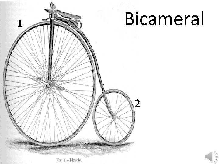 1 Bicameral 2 1 Bicameral 2