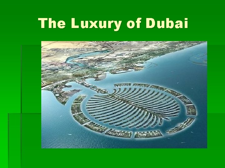 The Luxury of Dubai 