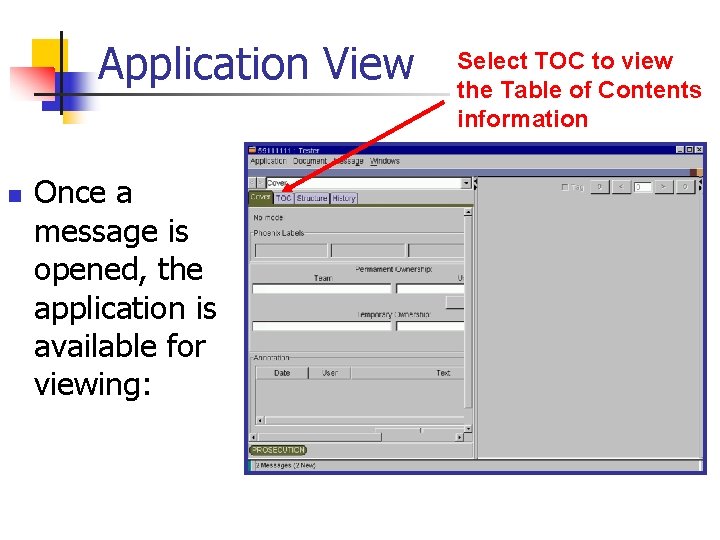 Application View n Once a message is opened, the application is available for viewing: