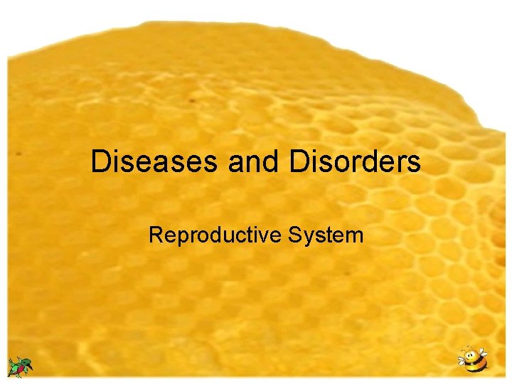 Diseases and Disorders Reproductive System 