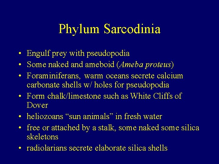 Phylum Sarcodinia • Engulf prey with pseudopodia • Some naked and ameboid (Ameba proteus)