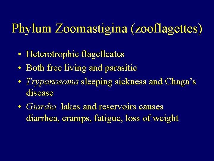 Phylum Zoomastigina (zooflagettes) • Heterotrophic flagelleates • Both free living and parasitic • Trypanosoma