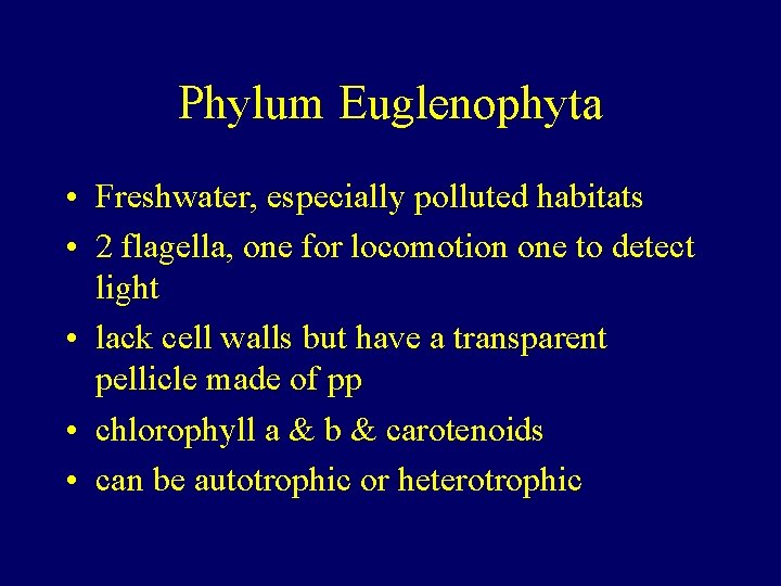 Phylum Euglenophyta • Freshwater, especially polluted habitats • 2 flagella, one for locomotion one