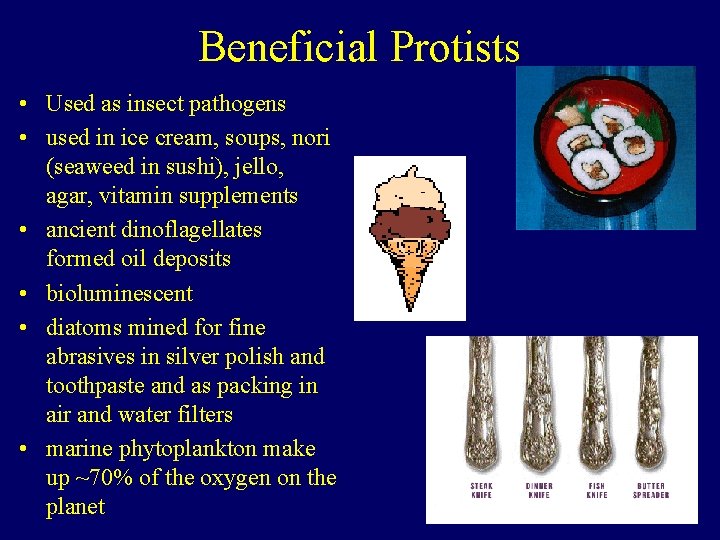 Beneficial Protists • Used as insect pathogens • used in ice cream, soups, nori