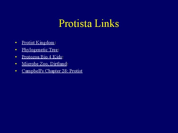 Protista Links • • • Protist Kingdom: Phylogenetic Tree: Protozoa Bio 4 Kids: Microbe