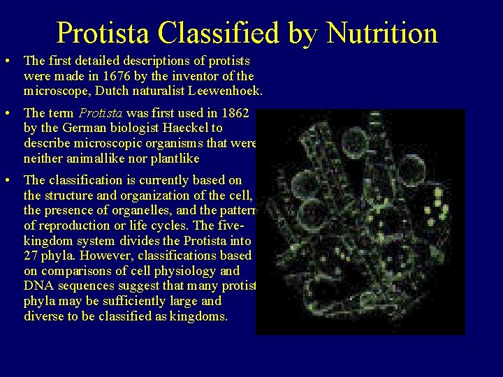 Protista Classified by Nutrition • The first detailed descriptions of protists were made in