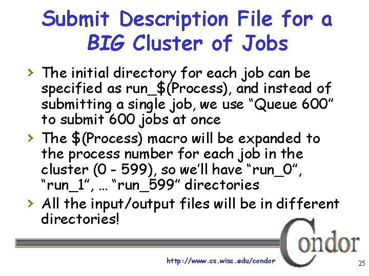 Submit Description File for a BIG Cluster of Jobs › The initial directory for