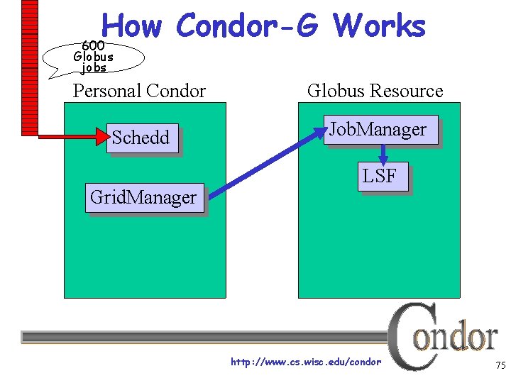 How Condor-G Works 600 Globus jobs Personal Condor Globus Resource Schedd Job. Manager Grid.