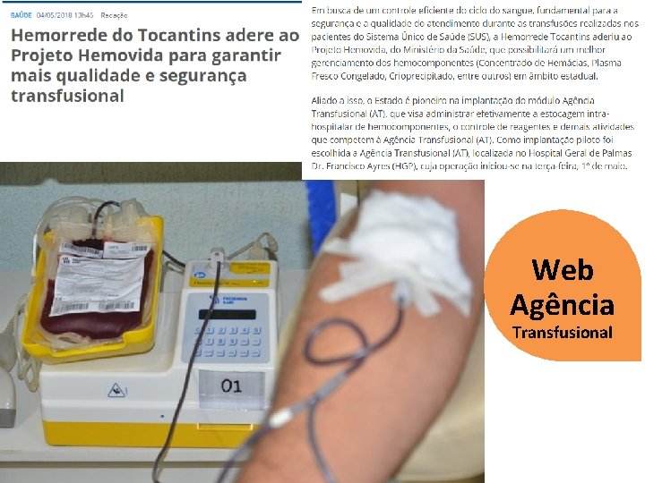 Web Agência Transfusional 
