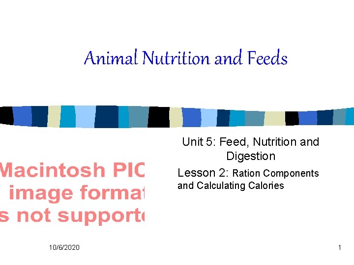 Animal Nutrition and Feeds Unit 5: Feed, Nutrition and Digestion Lesson 2: Ration Components