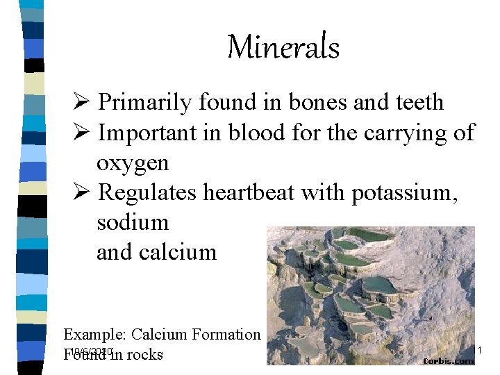 Minerals Ø Primarily found in bones and teeth Ø Important in blood for the