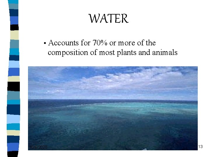 WATER • Accounts for 70% or more of the composition of most plants and
