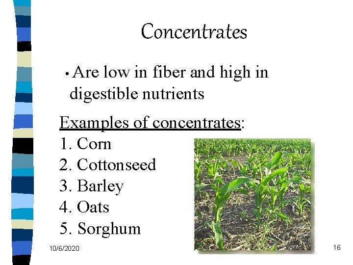 Concentrates • Are low in fiber and high in digestible nutrients Examples of concentrates: