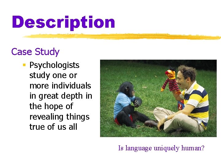 Description Case Study § Psychologists study one or more individuals in great depth in Description Case Study § Psychologists study one or more individuals in great depth in
