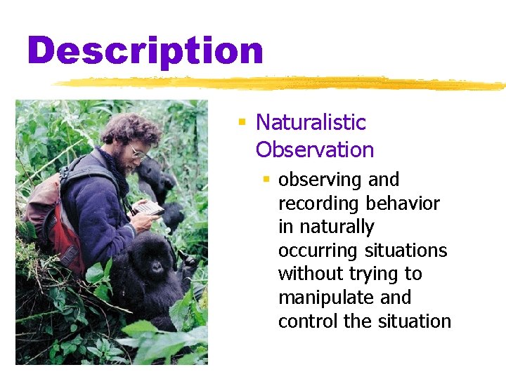 Description § Naturalistic Observation § observing and recording behavior in naturally occurring situations without Description § Naturalistic Observation § observing and recording behavior in naturally occurring situations without