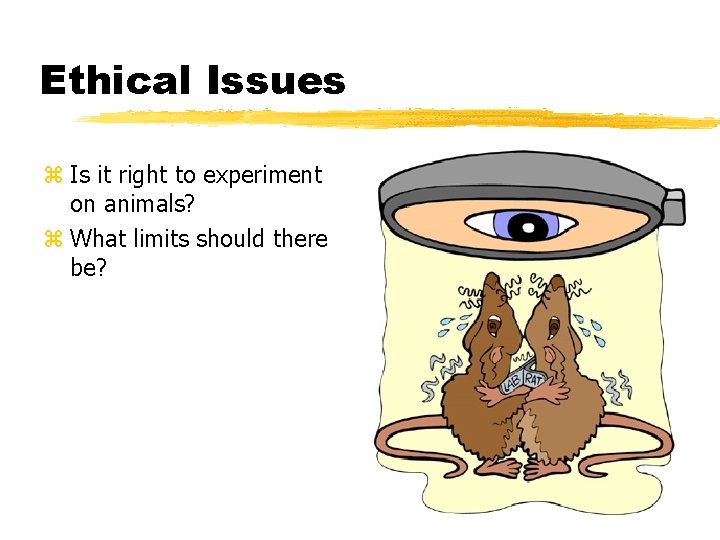 Ethical Issues z Is it right to experiment on animals? z What limits should Ethical Issues z Is it right to experiment on animals? z What limits should