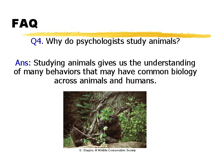 FAQ Q 4. Why do psychologists study animals? Ans: Studying animals gives us the FAQ Q 4. Why do psychologists study animals? Ans: Studying animals gives us the
