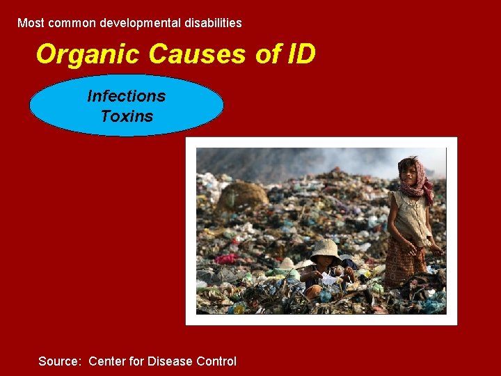 Most common developmental disabilities Organic Causes of ID Infections Toxins Source: Center for Disease Most common developmental disabilities Organic Causes of ID Infections Toxins Source: Center for Disease
