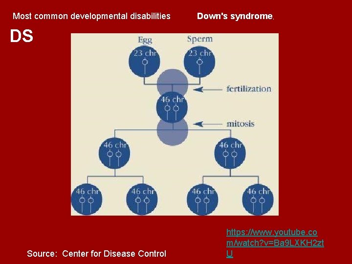 Most common developmental disabilities Down's syndrome, DS Source: Center for Disease Control https: //www. Most common developmental disabilities Down's syndrome, DS Source: Center for Disease Control https: //www.