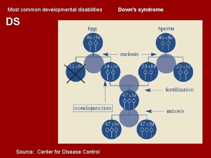 Most common developmental disabilities DS Source: Center for Disease Control Down's syndrome, Most common developmental disabilities DS Source: Center for Disease Control Down's syndrome,