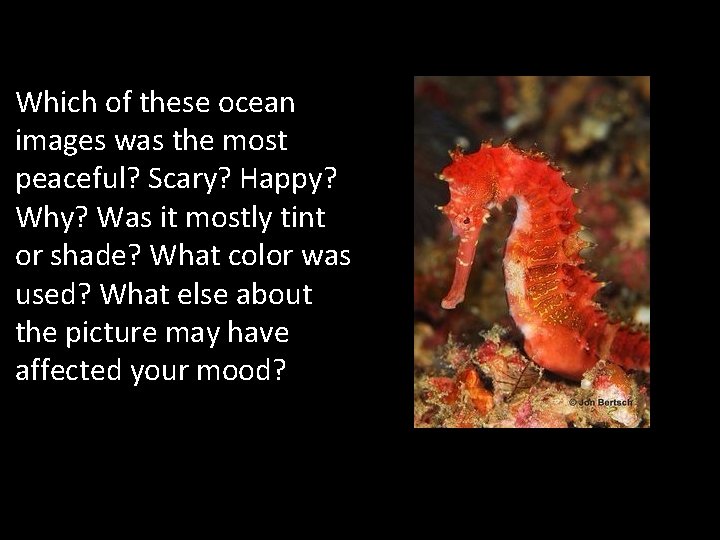 Which of these ocean images was the most peaceful? Scary? Happy? Why? Was it