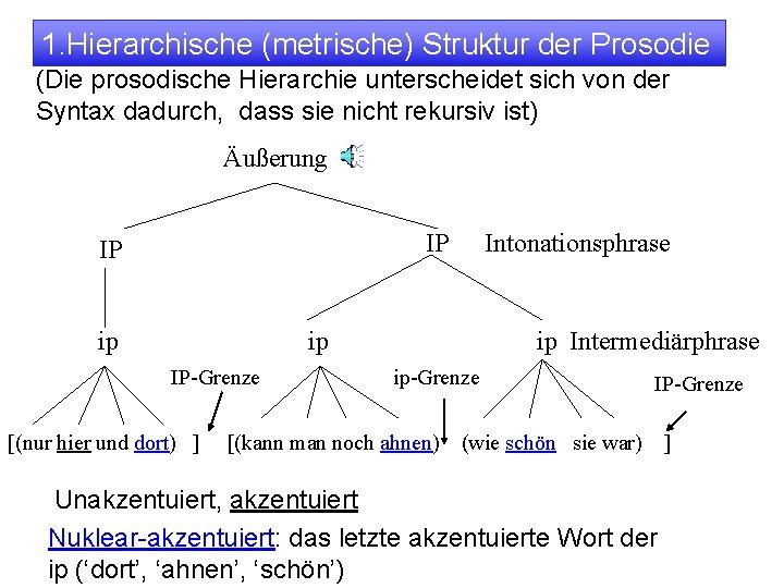 1. Hierarchische (metrische) Struktur der Prosodie (Die prosodische Hierarchie unterscheidet sich von der Syntax