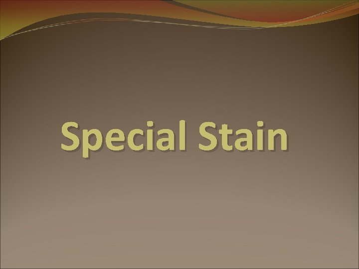 Special Stain 