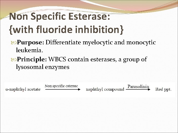 Non Specific Esterase: {with fluoride inhibition} Purpose: Differentiate myelocytic and monocytic leukemia. Principle: WBCS