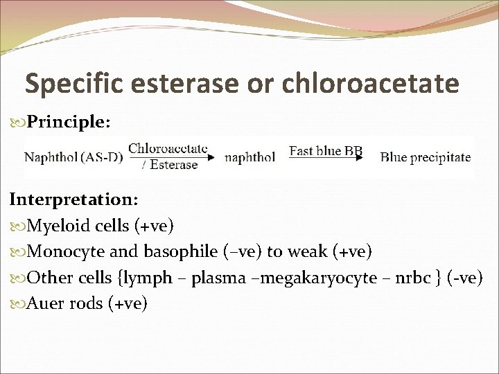 Specific esterase or chloroacetate Principle: Interpretation: Myeloid cells (+ve) Monocyte and basophile (–ve) to