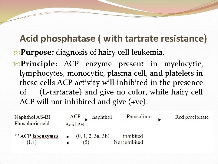 Acid phosphatase ( with tartrate resistance) Purpose: diagnosis of hairy cell leukemia. Principle: ACP